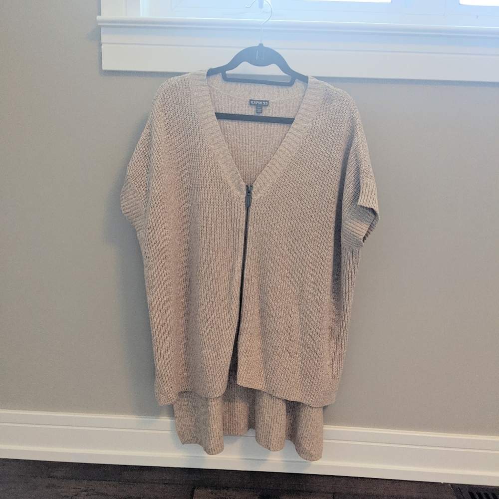 Short Sleeve Cream Brown Hi-Low Express Sweater